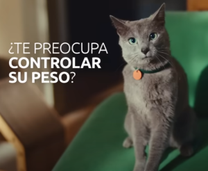 Anuncios TV 2024