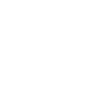 Nacimiento y llegada a casa